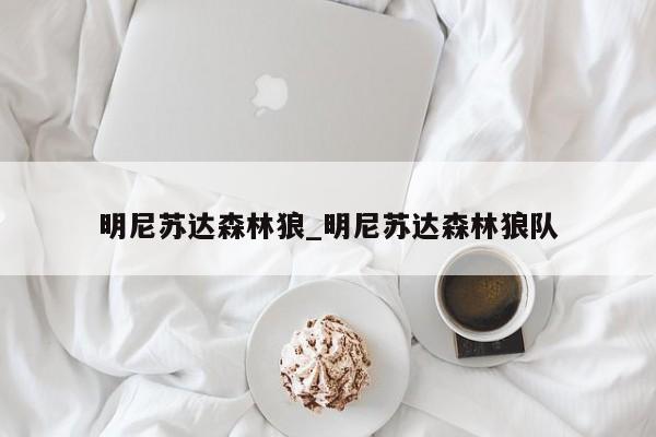 明尼苏达森林狼_明尼苏达森林狼队