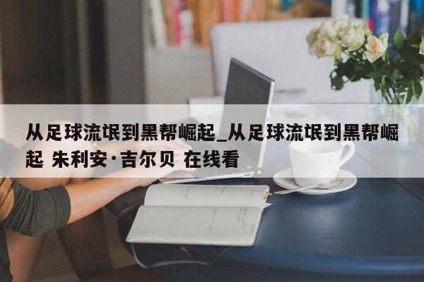 从足球流氓到黑帮崛起_从足球流氓到黑帮崛起 朱利安·吉尔贝 在线看