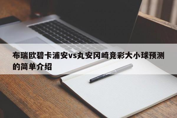 布瑞欧碧卡浦安vs丸安冈崎竞彩大小球预测的简单介绍