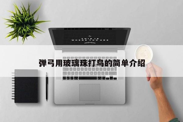 弹弓用玻璃珠打鸟的简单介绍